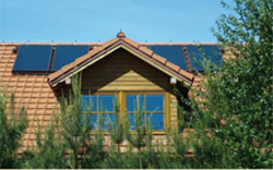 Kolektor p�aski